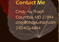 send email to contact me